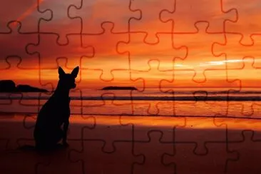 Atardecer