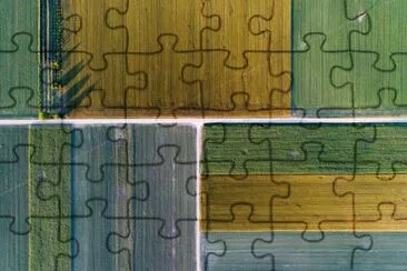Campo jigsaw puzzle