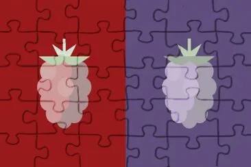 Imagen jigsaw puzzle