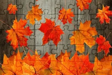 Hojas jigsaw puzzle