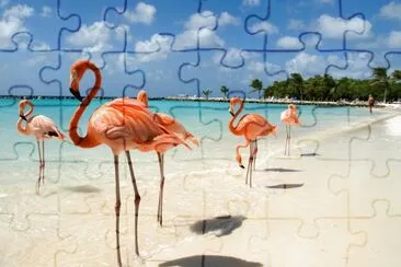 aruba jigsaw puzzle