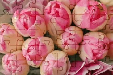 tulip jigsaw puzzle