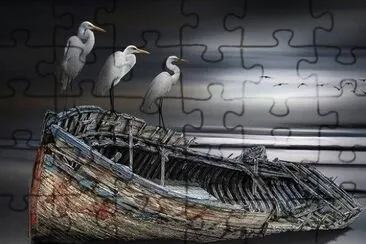 beached boat
