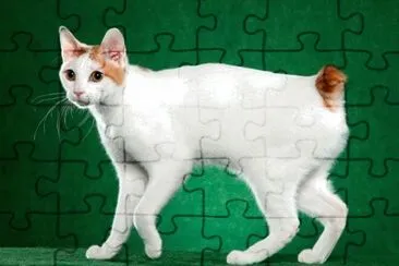 Bobtail giapponese jigsaw puzzle