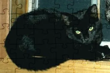Bombay jigsaw puzzle