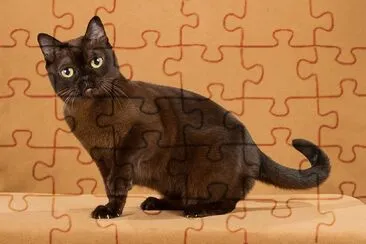 Burmese jigsaw puzzle