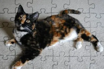 Carey jigsaw puzzle