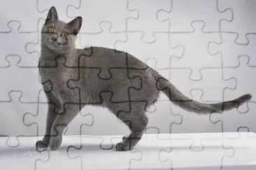 Certosino jigsaw puzzle