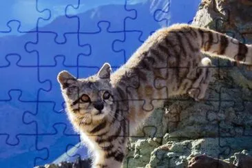Delle ande jigsaw puzzle