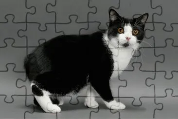 Manx jigsaw puzzle