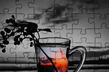 ReflexiÃ³n jigsaw puzzle