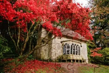 Lugares MAGICOS !!!!!!! jigsaw puzzle