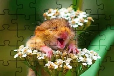 good morning jigsaw puzzle