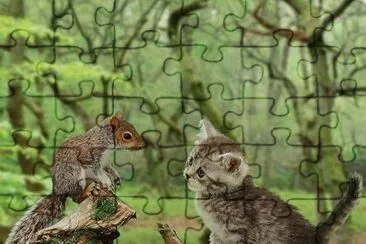 kitty jigsaw puzzle