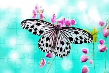 Mariposa jigsaw puzzle