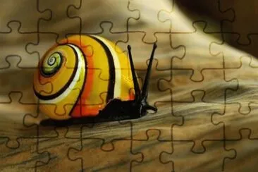 Lumaca di cuba jigsaw puzzle