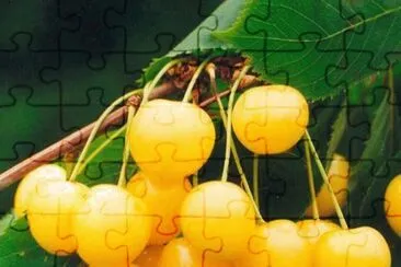 imagem jigsaw puzzle