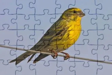Verzellino jigsaw puzzle