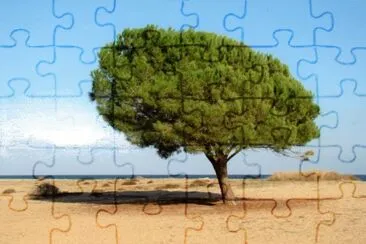 Orosei, Sardegna jigsaw puzzle