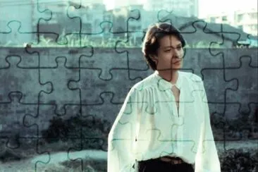 Taiwan 70 's star åŠ‰æ–‡æ­£