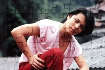Taiwan 70 's star åŠ‰æ–‡æ­£