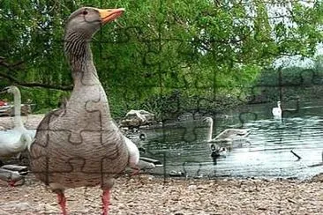 Standing Proud jigsaw puzzle