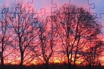 Vibrant sunrise