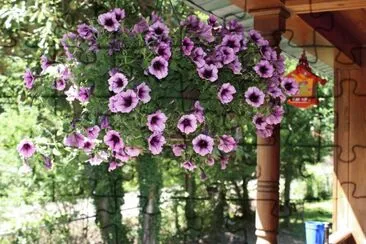 פאזל של Flowers