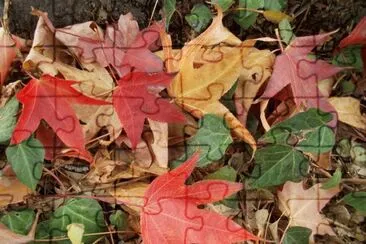 leaves jigsaw puzzle