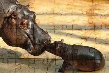 mom-#261 jigsaw puzzle