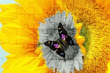 Succionando el color jigsaw puzzle