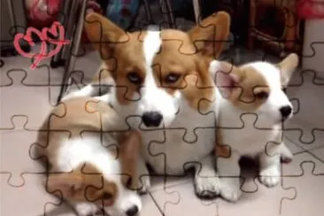 é…’é…’å¤§å¤§å¤šå¤š jigsaw puzzle