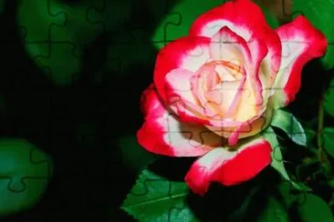 flower jigsaw puzzle