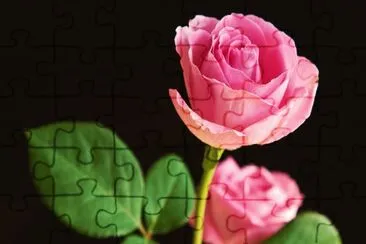 flower jigsaw puzzle