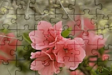 imagem jigsaw puzzle