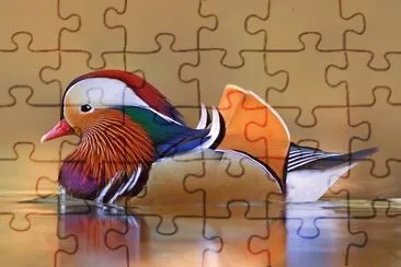 Anatra mandarina jigsaw puzzle