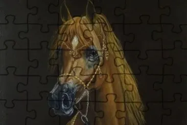 arabian