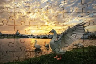 å‹•ç‰©èˆ‡é¢¨æ™¯ jigsaw puzzle