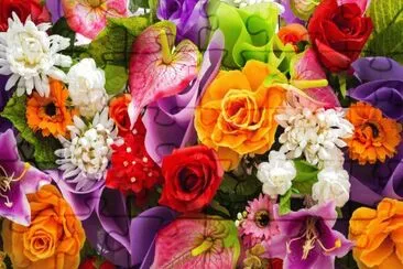 flores jigsaw puzzle