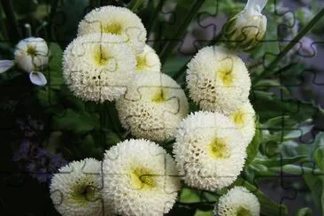imagem jigsaw puzzle