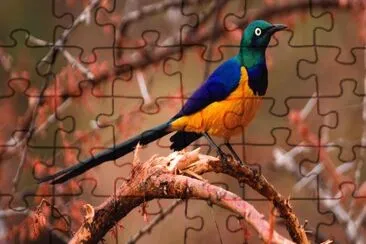Magical Kenia jigsaw puzzle