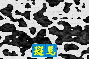 æ–‘é¦¬ jigsaw puzzle