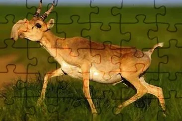 Cervo vampiro jigsaw puzzle