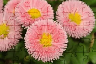 ç¿ èŠ jigsaw puzzle