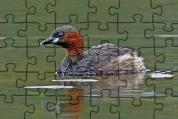 Tuffetto jigsaw puzzle