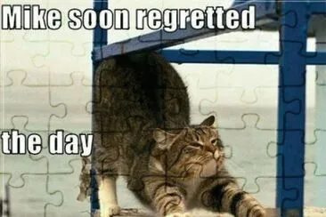 me as a cat