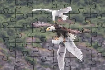 En la uniÃ³n estÃ¡ la fuerza jigsaw puzzle
