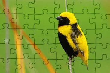Vescovo dorato jigsaw puzzle