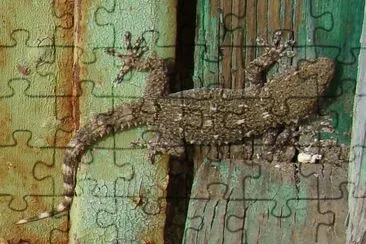 Sauveterre, Gard, France jigsaw puzzle
