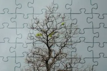 Sauveterre, Gard, France jigsaw puzzle